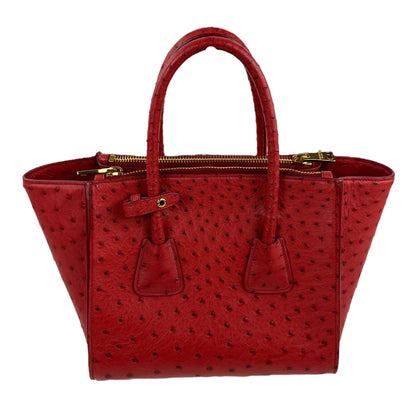 Prada Ostrich Struzzo Twin Pocket Tote