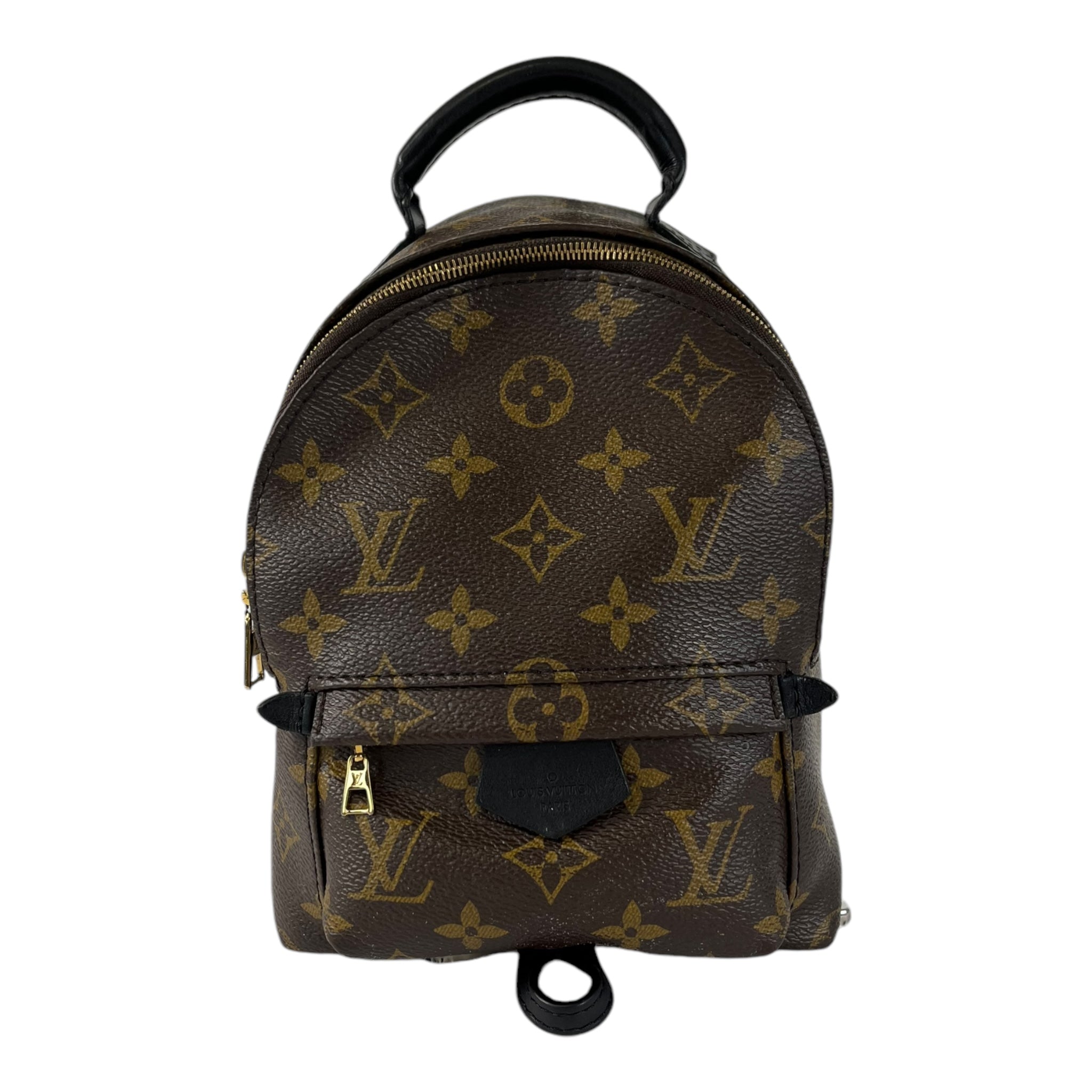 Palm spring mini backpack lv best sale